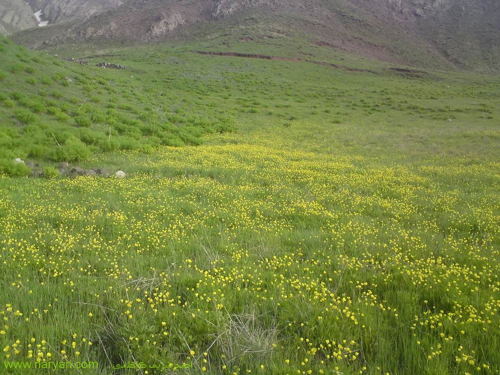 AhmadSharifKazemi1393 (23).jpg